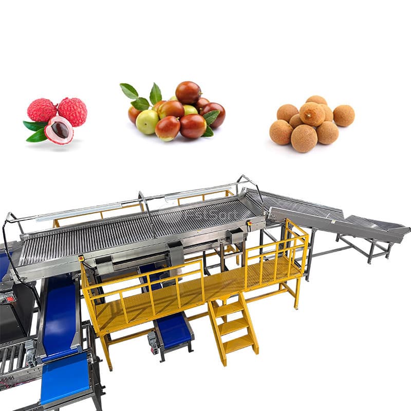 images/1768806328394jujube 1.jpg